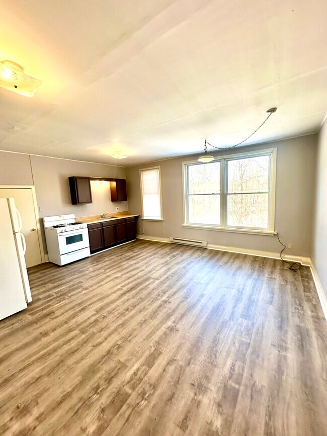 862 Iron Ridge Rd, Apt E - Kitchen & Liv Rm - 850 Iron Ridge Rd
