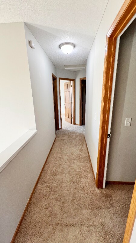 Foto del edificio - 13679 Essex Ct
