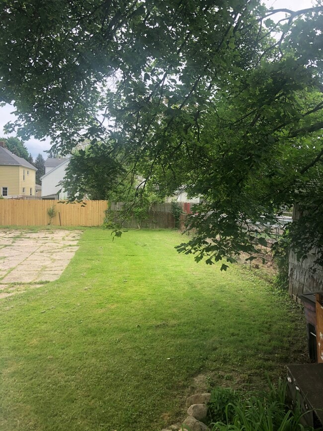 Back yard - 531 E 28th St