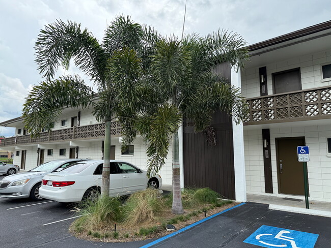 Parking lot Palm Trees - 2043 Shakespeare St