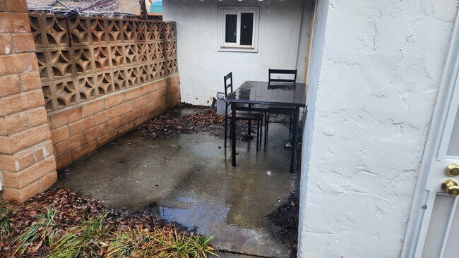 private backyard - 152 N Spring St