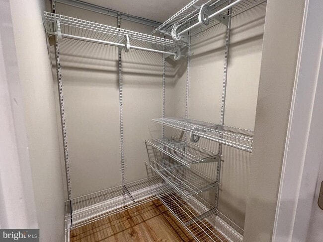 Building Photo - 36 Pennydog Ct