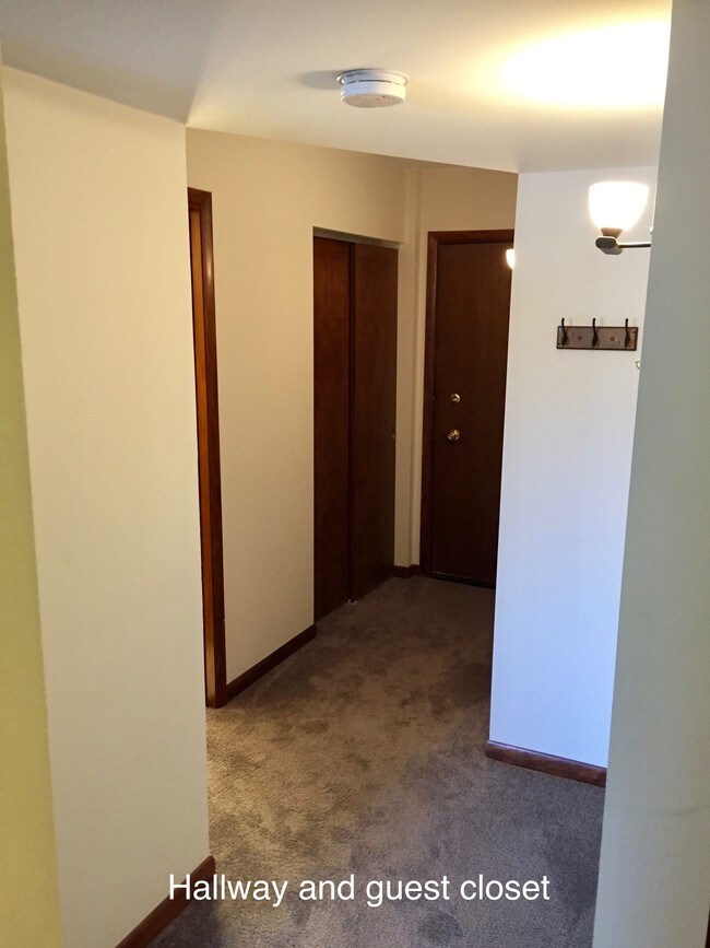10210 Washington Ave Unit 204, Oak Lawn, IL 60453 Condo for Rent in