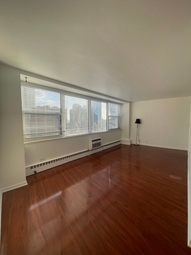Building Photo - 1150 N Lake Shore Dr