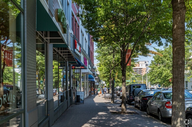 Experience the lively atmosphere of Colonial Village's Wilson Blvd.