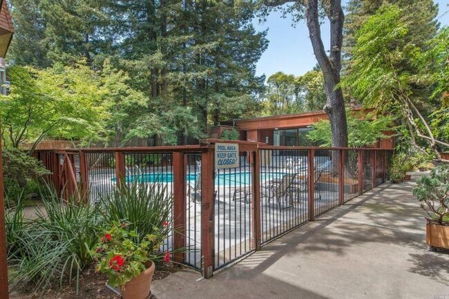 Building Photo - 2 bedroom in San Rafael CA 94901