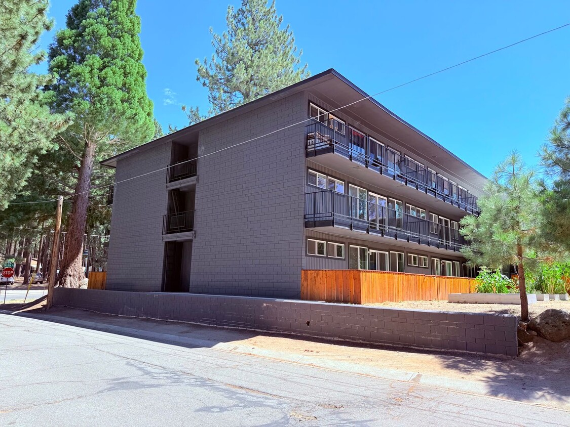 Primary Photo - Pet Friendly 1 bed 1 bath apartment for re...