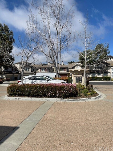 Building Photo - 127 Cameray Heights