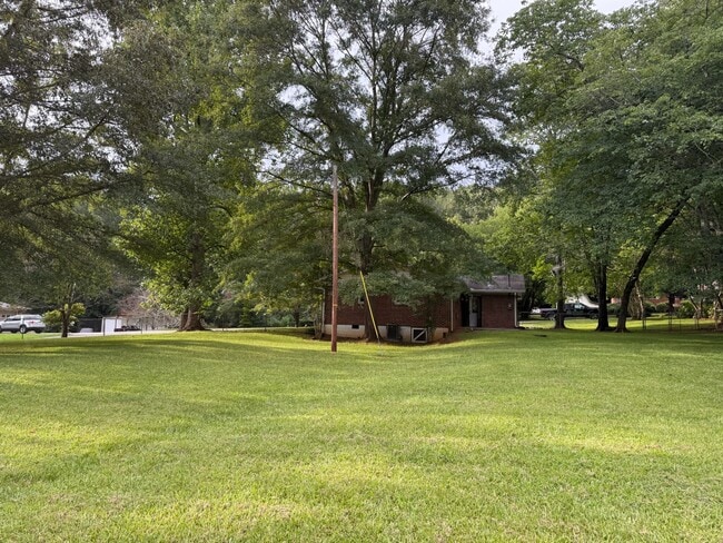 Large fenced in back yard - 403 Cane Creek Valley Rd