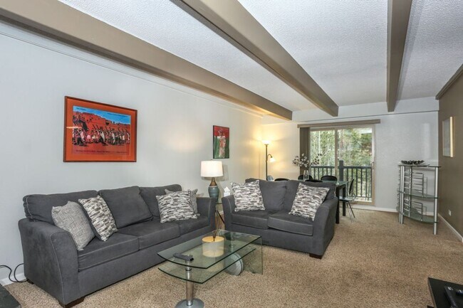 Foto del edificio - 2 bed, 2 bath in Breckenridge! Winter seasonal! Heat included