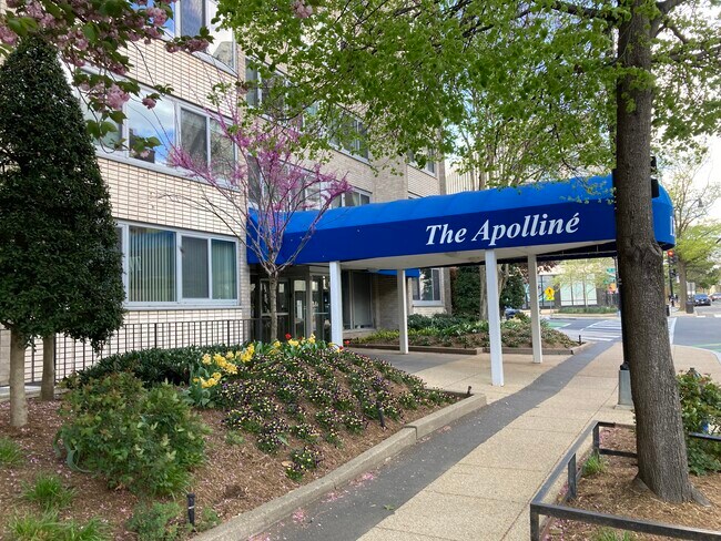 Building Photo - 1330 New Hampshire Ave NW