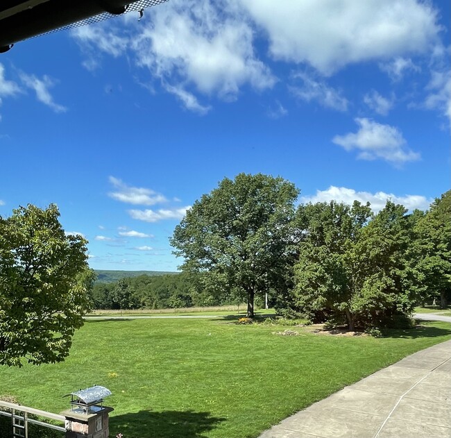 View from Master Suite - 13995 Centerline Rd