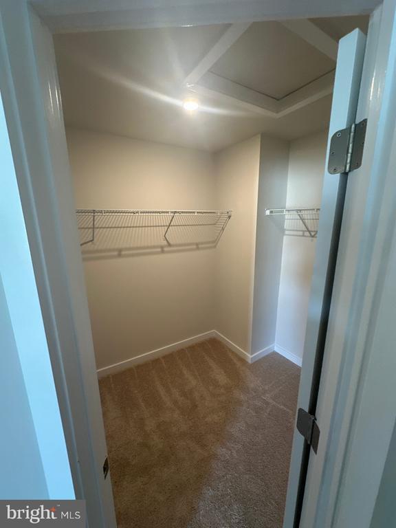 Foto del edificio - 29 Trotting Rd