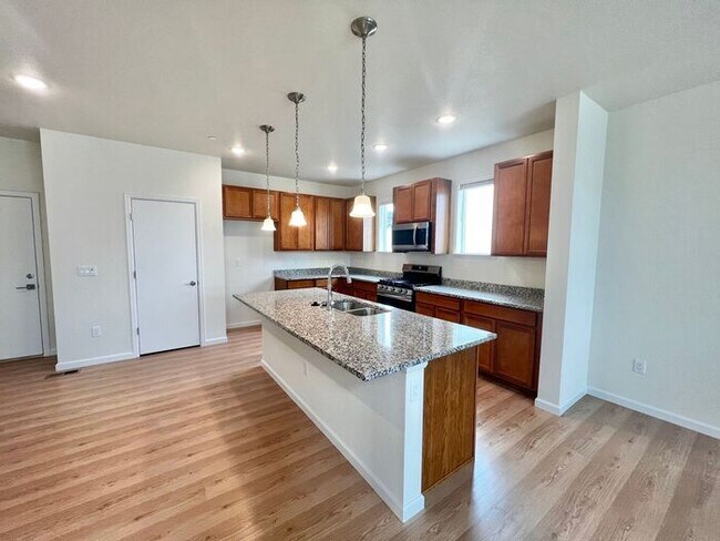 Building Photo - STUNNING 3 bed 2.5 bath new build home in ...
