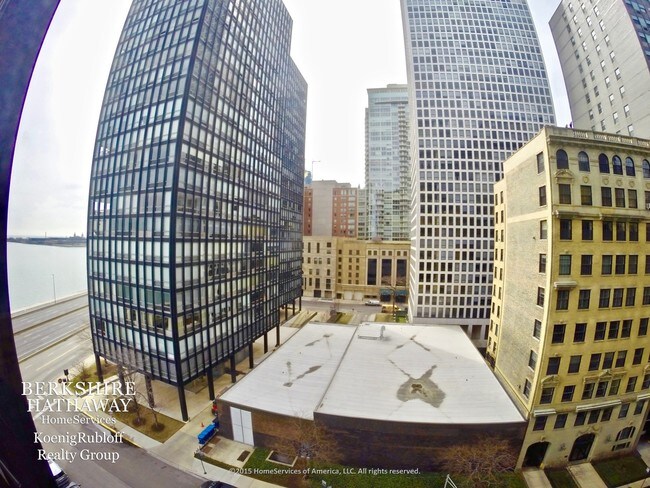 Building Photo - 900 N Lake Shore Dr