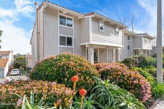 Building Photo - 28258 Rey De Copas Ln