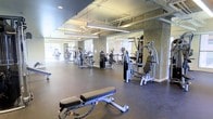 This fitness center offers a spacious, well-organized workout environment designed to accommodate a wide range of exercise needs. The space features an industrial aesthetic, highlighted by an exposed ceiling with visible ductwork and piping, painted in a neutral tone that complements the concrete-textured walls. Overhead, linear LED lighting fixtures provide consistent, bright illumination throughout the floor.

The gym is outfitted with an impressive selection of strength training machines, including cable systems, multi-function units, and a weight bench positioned prominently in the foreground. Cardio equipment, such as ellipticals and upright bikes, is visible toward the rear of the space. Large windows along the perimeter walls allow natural light to filter in, enhancing the open and airy feel of the room.

Dark rubber flooring covers the entire workout area, providing durability and safety underfoot. Full-length mirrors are mounted along the walls, serving both a functional and visual purpose by amplifying the sense of space. The overall layout is thoughtfully arranged to allow ample room between equipment, promoting ease of movement and a comfortable workout experience.