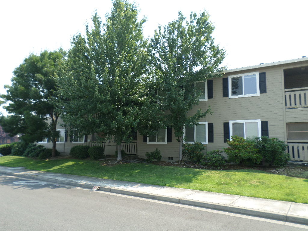 Primary Photo - 1984 Sky Park Dr