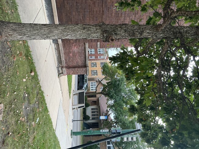 Building Photo - 1359 N Central Ave