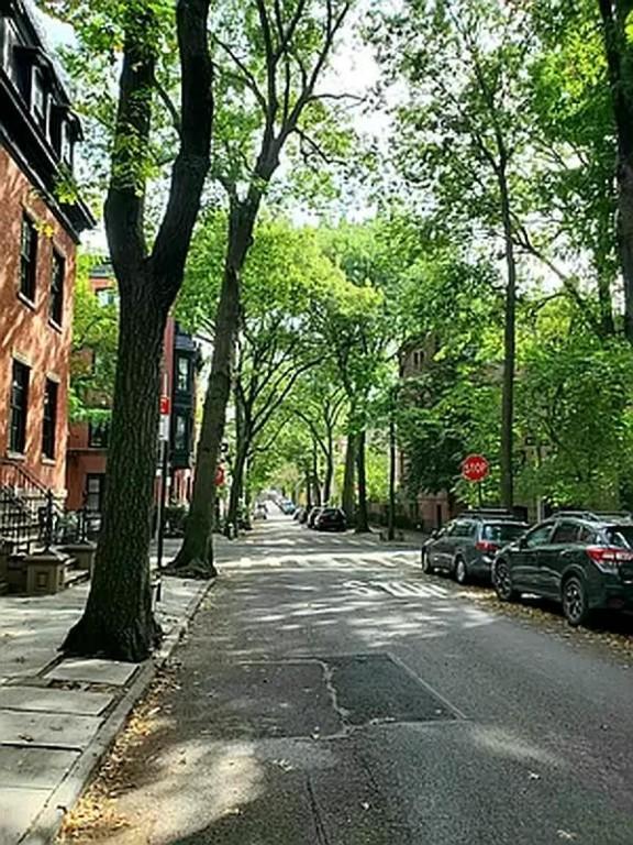 Foto del edificio - 0 bedroom in Brooklyn NY 11201