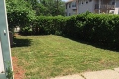Private yard - 7 Maple Ave