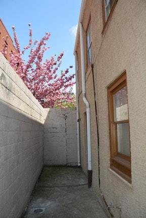 Building Photo - 217 Vine St