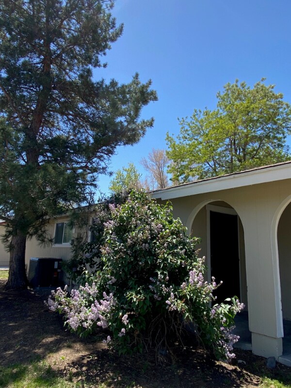 Building Photo - 4505 Dos Rios Ct