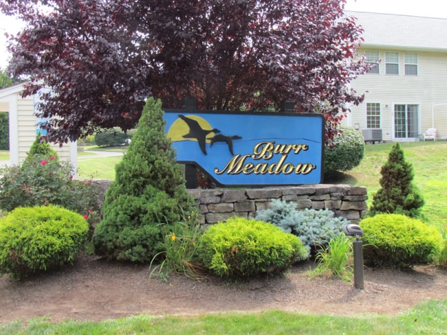 Building Photo - 407 Spring Meadow Rd