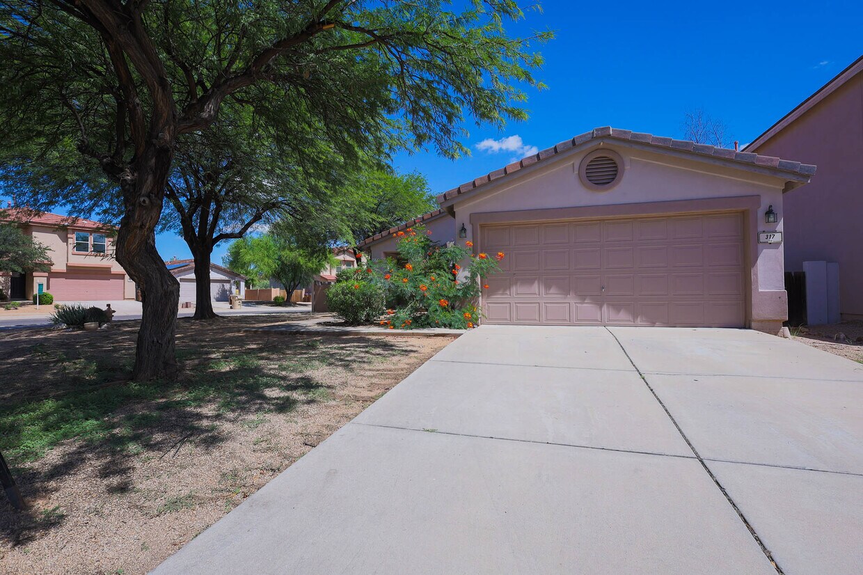 317 E Atlas Cedar Pl, Sahuarita, AZ 85629 House Rental in Sahuarita