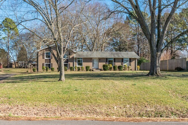 Building Photo - Beautifully Renovated Home on HUGE Lot!
