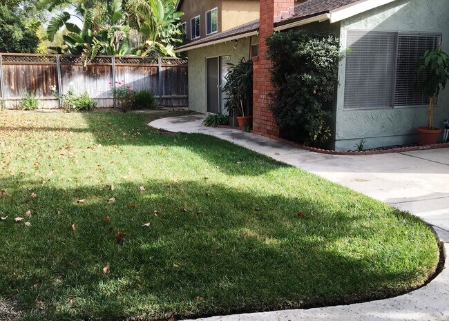 Backyard - 10510 Hermanos Ct