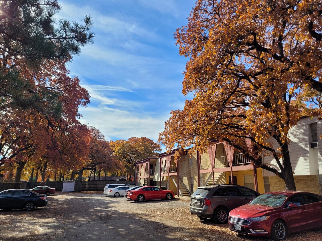 Building Photo - Cherry Circle Apartments