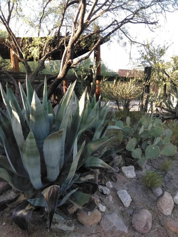 Foto del edificio - 4051 N Soldier Trail