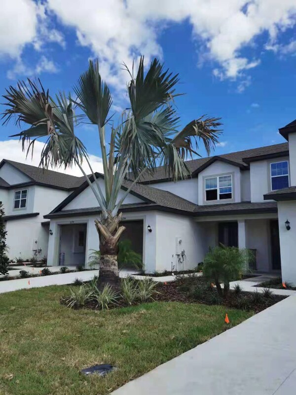 Building Photo - 11288 Cay Spruce Wy