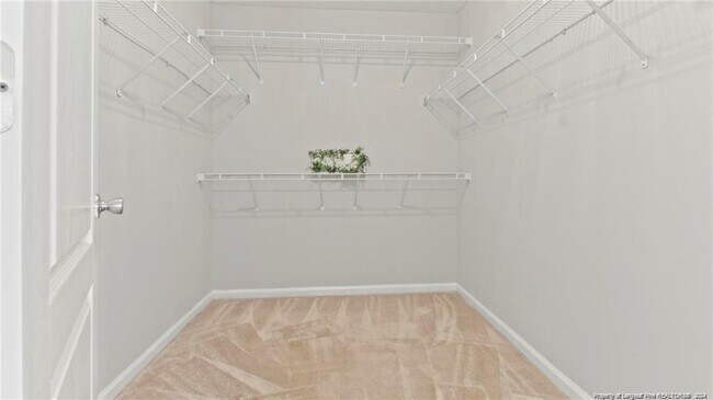 Building Photo - 2436 Camp Lejeune Ct