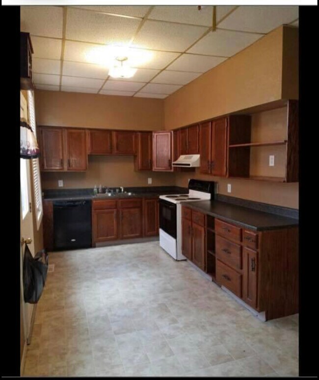 Kity - 610 Nevada St