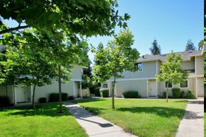 Building Photo - Forest Winds Apartments