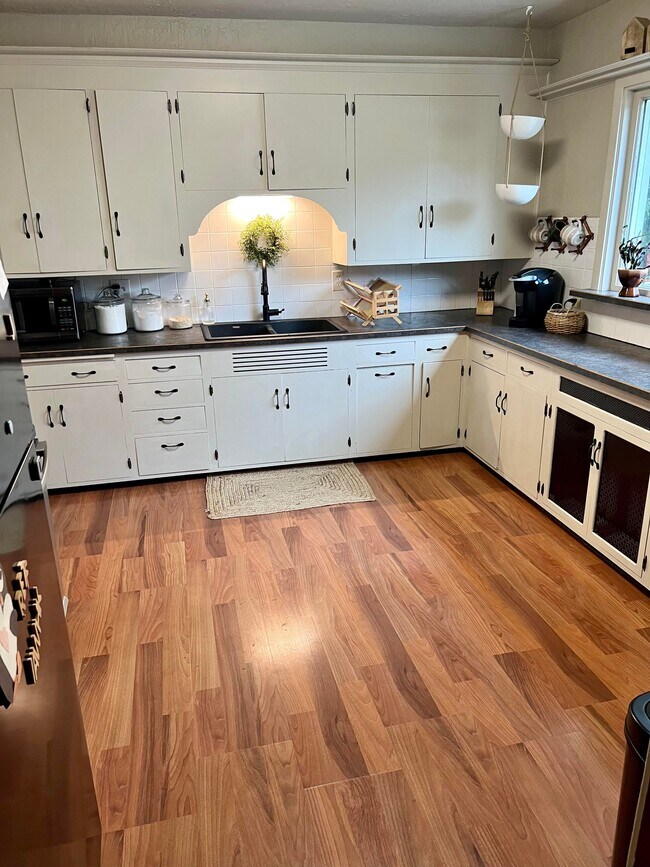 223 E Vernon Ave, Fergus Falls, MN 56537 House Rental in Fergus Falls