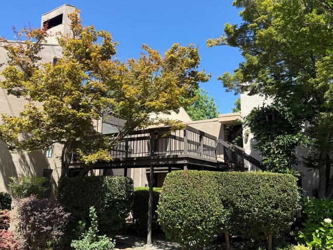 Foto del edificio - LOVELY, SPACIOUS UPSTAIRS CONDO!