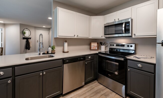 Enjoy newly renovated apartment homes with stainless steel appliances. - Avana Northlake