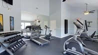 This fitness room is designed to support a well-rounded workout experience within a single-floor layout. The space is characterized by soaring vaulted ceilings that create an open, airy atmosphere, enhancing the sense of spaciousness throughout. Walls are painted in a soft blue-grey tone, divided by a white chair rail, lending the room a clean and calm aesthetic.

Large mirrors line the walls, visually expanding the space and allowing users to monitor their form during exercise. The dark rubberized flooring provides both durability and cushioning, making it well-suited for fitness use.

Cardio equipment is well-represented, with multiple treadmills, a stationary upright bike, and an elliptical trainer positioned throughout the room. A ceiling fan helps maintain airflow and comfort during workouts. Natural light filters in through a window visible in the mirrored reflection, contributing to the bright and welcoming environment. A wall-mounted panel, likely a workout station or accessory rack, adds further functionality to the space.