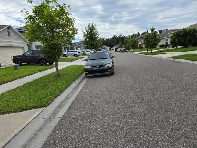 Building Photo - 3337 Perennial Ln