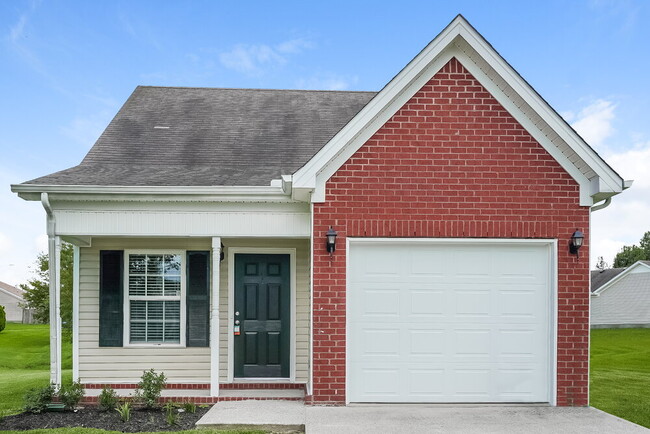 Building Photo - 1505 Brookchase Ct