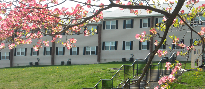 Primary Photo - Hanover Village Apartments