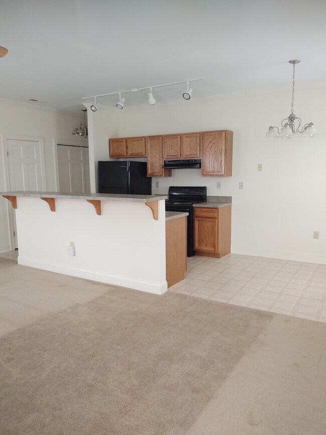 Kitchen area - 313 E Martin St