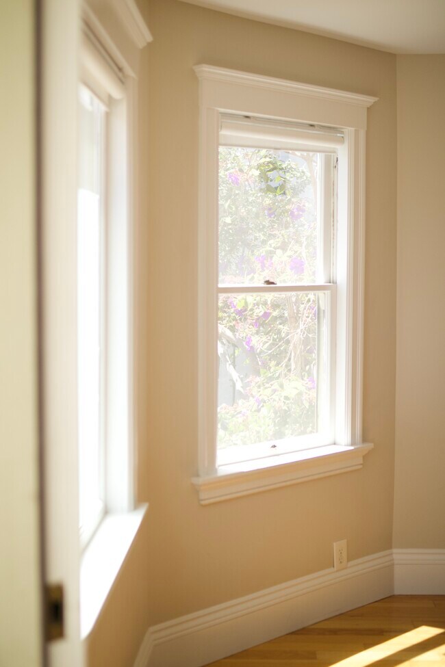 NATURAL LIGHT - 3741 McClelland St