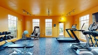 Located at 1925 Ashland City Rd in Clarksville, Tennessee, this fitness center is a dedicated exercise space designed to support a well-rounded workout routine. The room is immediately recognizable by its bold, warm amber-orange walls and matching ceiling, which create an energizing atmosphere conducive to physical activity. Textured blue-toned carpet tiles cover the floor throughout, providing a durable and cushioned surface for exercise.

The space is well-equipped with a variety of fitness machines and equipment. Cardio options include multiple treadmills and an elliptical trainer, each featuring individual display screens for workout tracking. A wall-mounted television is positioned for easy viewing during cardio sessions. Strength training is supported by a multi-function cable machine, an adjustable workout bench, and a tiered dumbbell rack stocked with a range of free weights.

Natural light enters through several windows positioned along multiple walls, offering views of the surrounding outdoor greenery. Track lighting mounted along the ceiling provides supplemental illumination. The facility includes double French doors as well as a secondary entry door, ensuring convenient access. A water cooler station is available for hydration. Fitness center rules are posted on the wall, and a fire extinguisher is present for safety compliance.
