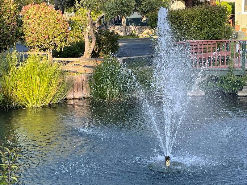 Foto principal - 444 Whispering Pines Dr