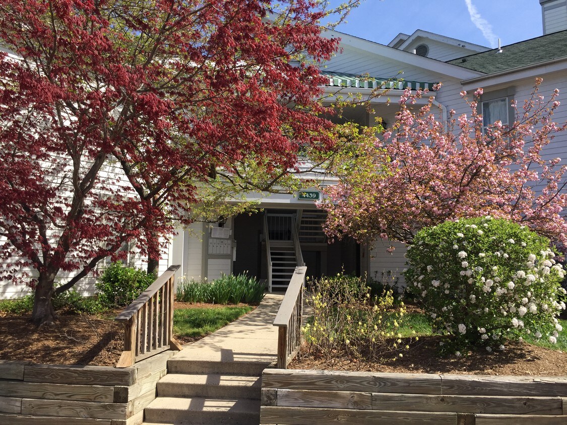 4439 Fair Stone Dr, Fairfax, VA 22033 Condo for Rent in Fairfax, VA