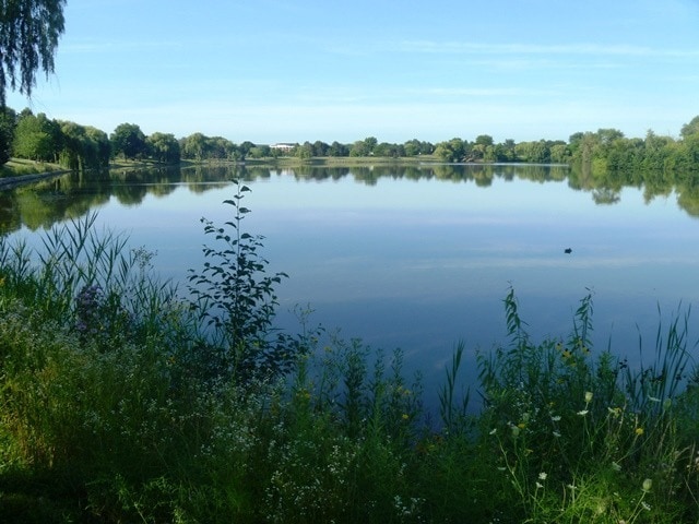 Building Photo - 183 Hemingway Ct